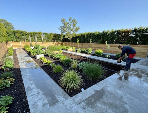 Auswahl geeigneter Pflanzenarten im Gartenbau